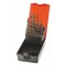 Holex CleverDrill jobber drill set HSS No. 114031 in a case, uncoated, Type: 1-10-5 115051 1-10,5 - alternate 1